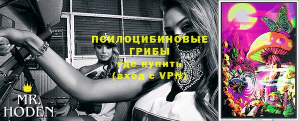 бутират Алексин