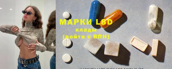 мяу мяу мука Алзамай