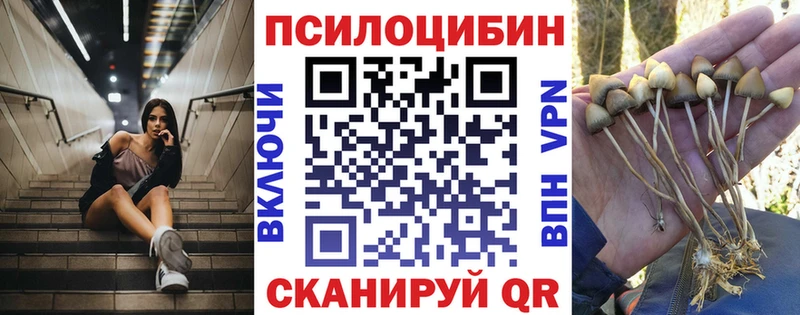 OMG ссылки  Артёмовск  Галлюциногенные грибы Cubensis 